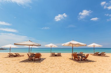 tropikal bir plajda şemsiye