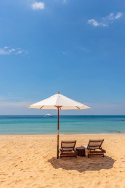 tropikal bir plajda şemsiye