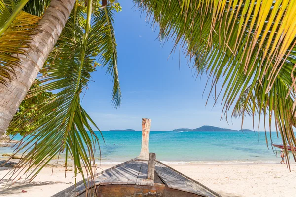 Bangtao Beach Palm tree. Tayland. — Stok fotoğraf