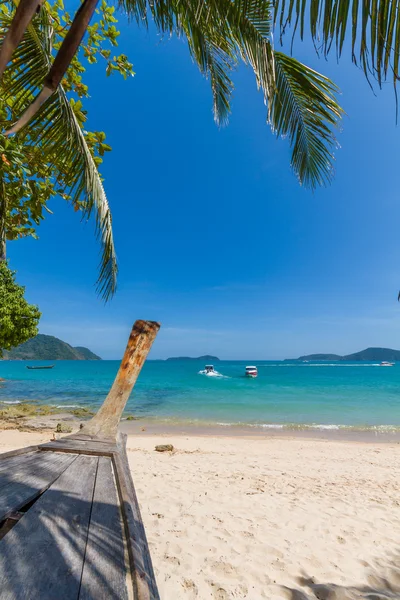 Palmera en la playa Bangtao. Tailandia . — Foto de Stock