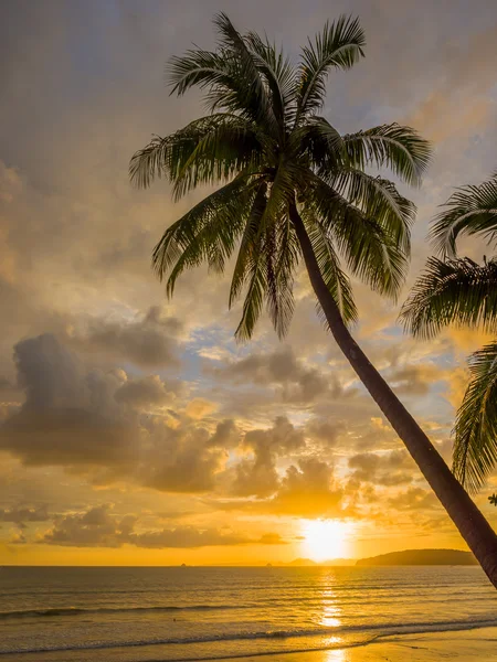 Coucher de soleil tropical sur la plage. Ao-Nang. Krabi — Photo