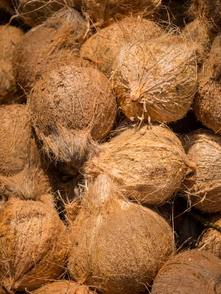 Beaucoup de noix de coco à Bali — Photo