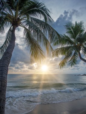 Koh Samui Adası Deniz gündoğumu