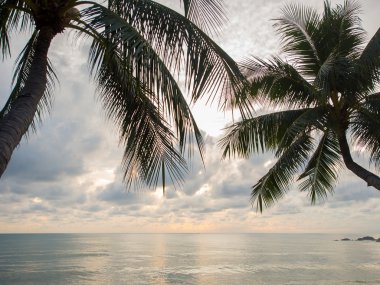 Koh Samui Adası Deniz gündoğumu