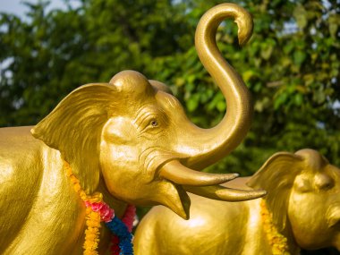 phuket deniz feneri Tapınağı'nda filler