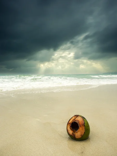 Fırtınalı bir günde sahilde Hindistan cevizi — Stok fotoğraf