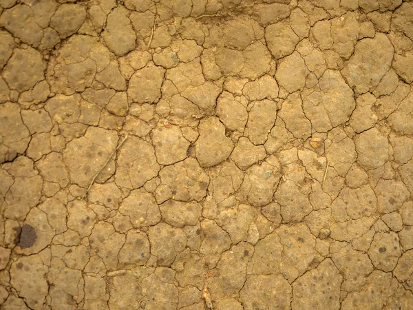 Tierra quebrada — Foto de Stock