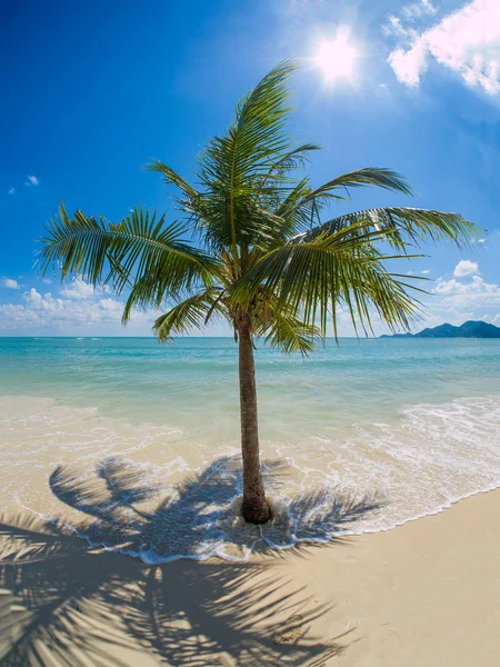 Тропический пляж острова Самуи — стоковое фото