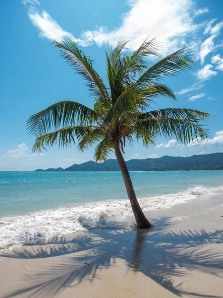 Praia tropical da ilha de Koh Samui — Fotografia de Stock