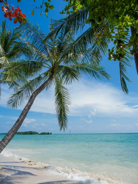 Praia tropical da ilha de Koh Samui — Fotografia de Stock