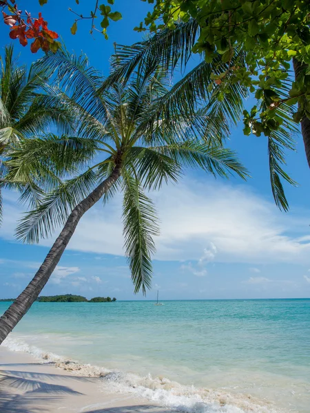 Tropical beach Koh Samui ostrov — Stock fotografie