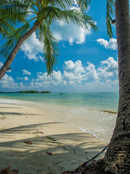 Playa tropical de la isla de Koh Samui — Foto de Stock