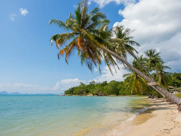 Spiaggia tropicale dell'isola di Koh Samui — Foto Stock