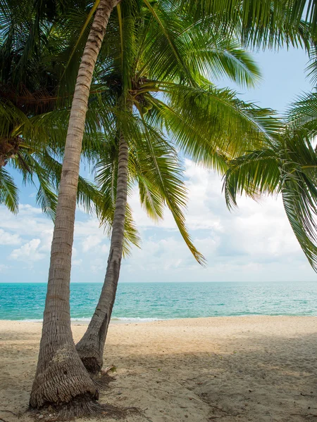 Wyspie tropikalnej plaży Koh Samui — Zdjęcie stockowe