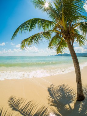 Tropikal beach Koh Samui Adası