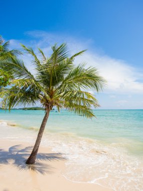 Tropikal beach Koh Samui Adası