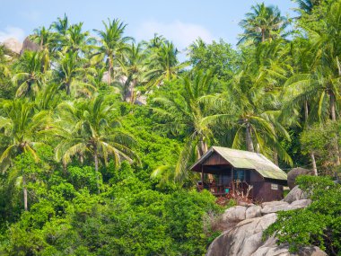 Resort homes denize bakan dağda 