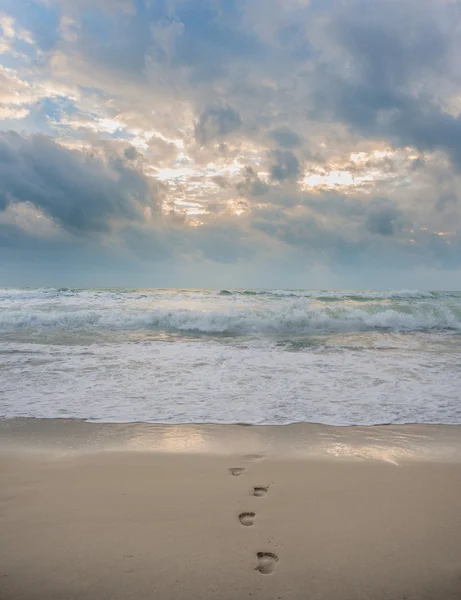 Footprints on the beach — Stock Photo, Image