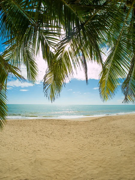 Praia tropical da ilha de Koh Samui — Fotografia de Stock