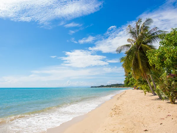 Tropisch strand van Koh Samui eiland — Stockfoto