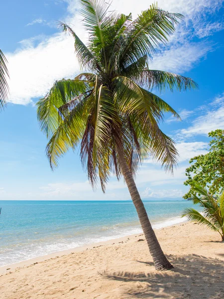 Τροπική παραλία του Koh Samui island — Φωτογραφία Αρχείου