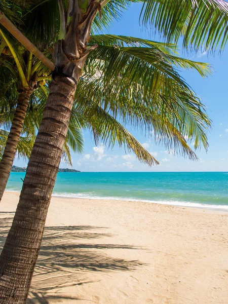 Wyspie tropikalnej plaży Koh Samui — Zdjęcie stockowe