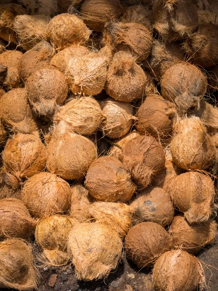 Beaucoup de noix de coco à Bali — Photo