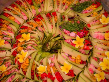 Bali 'deki tanrılara adanan bali çiçekleri ve aromatik aromalarla