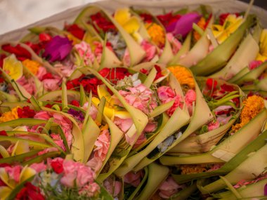 Bali 'deki tanrılara adanan bali çiçekleri ve aromatik aromalarla