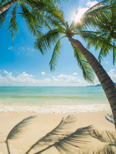 苏梅岛的热带海滩岛 — 图库照片