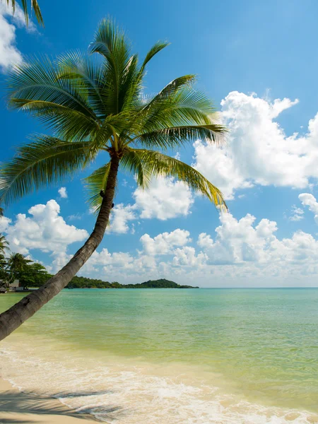 Tropical beach of Koh Samui island — Stock Photo, Image