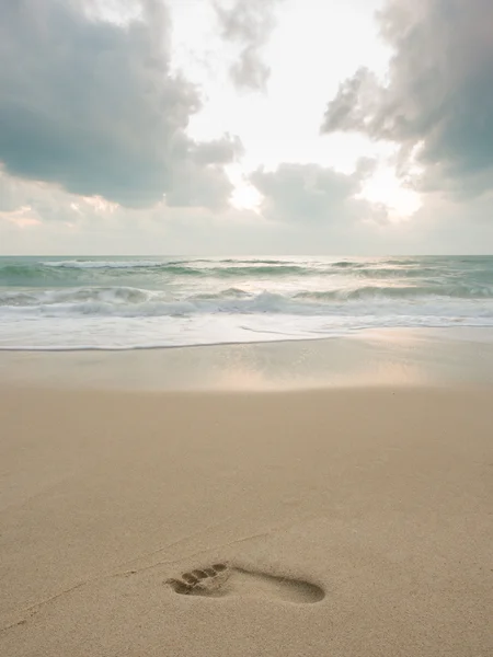 Empreintes de pas dans le sable — Photo