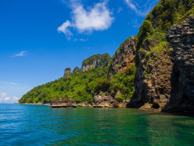 Krabi Island'da tavuk 