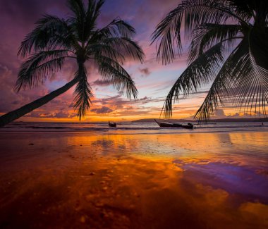 Tropical sunset on the beach. Ao-Nang. Krabi clipart