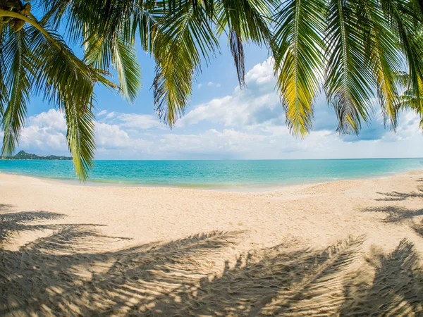 Tropikal beach Koh Samui Adası — Stok fotoğraf