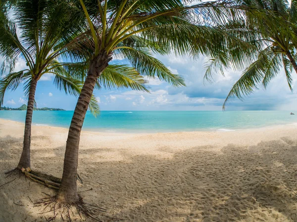 Tropical beach Koh Samui ostrov — Stock fotografie