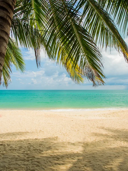 Tropical beach of Koh Samui island — Stock Photo, Image