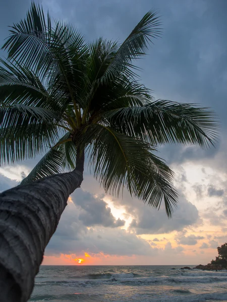 Hav solopgang i Koh Samui øen - Stock-foto