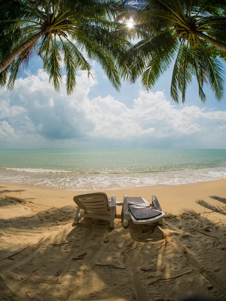 Лежаки на пляже под кокосовым деревом — стоковое фото