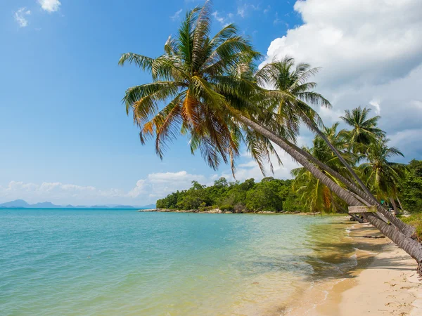 Plage tropicale de Koh Samui île — Photo