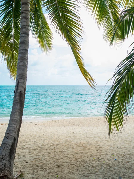 Plage tropicale de Koh Samui île — Photo