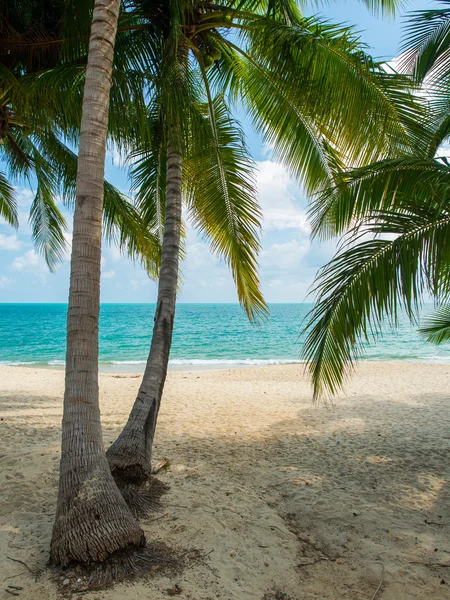 Plage tropicale de Koh Samui île — Photo