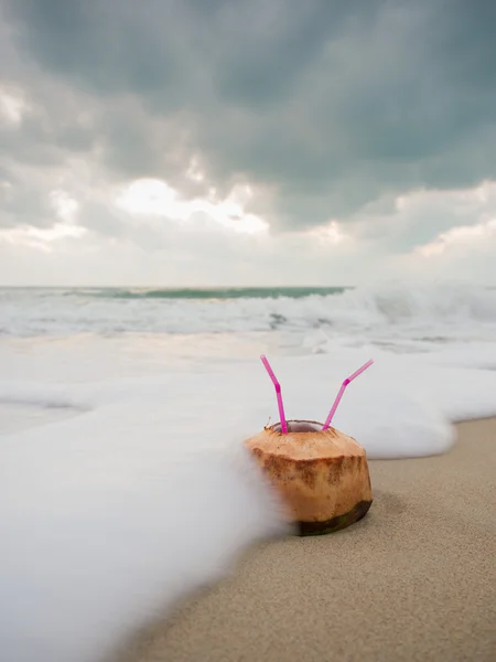 タイのビーチにココナッツ — ストック写真