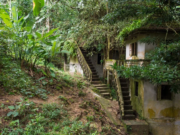 Jardin magique de Bouddha Tanim, île de Koh Samui — Photo