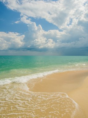 Tropikal beach Koh Samui 