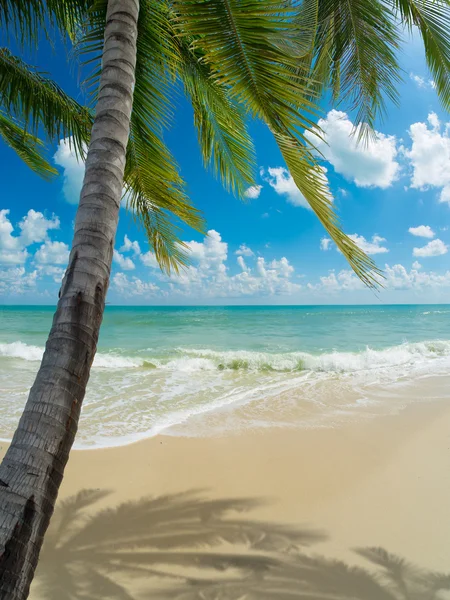 Tropical beach in Koh Samui — Stock Photo, Image