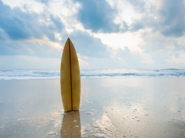 Surfplank op het strand bij zonsondergang — Stockfoto