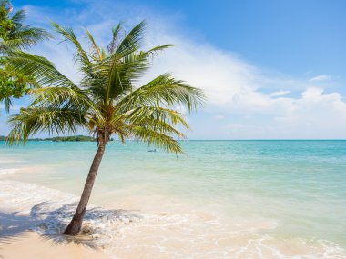 Tropikal beach Koh Samui Adası