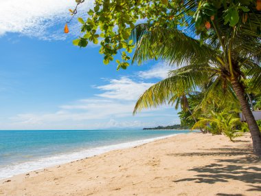 Tropikal beach Koh Samui Adası