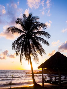 Koh Samui Adası Deniz gündoğumu